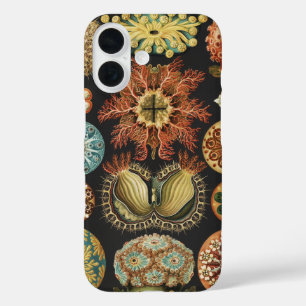 エルンスト・ヘッケルの海洋生物アートコラージュ iPhone 16ケース