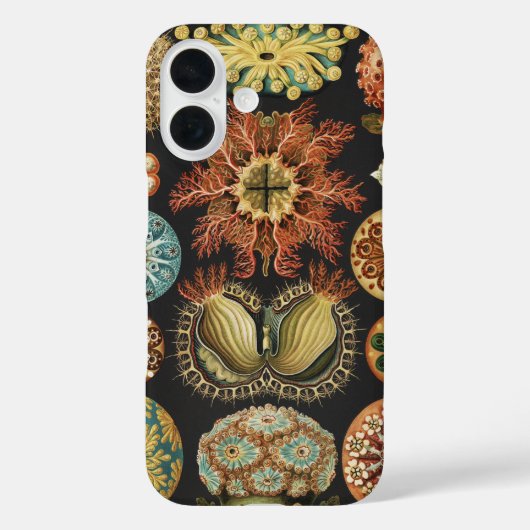 エルンスト・ヘッケルの海洋生物アートコラージュ Case-Mate iPhoneケース (裏面)