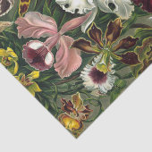 エルンスト・ヘッケルの芸術のプリント: Orchidae Oncidiumsのチューリップ 薄葉紙 (詳細)