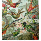 エルンスト・ヘッケルの芸術のプリント: Trochilidae シャワーカーテン (正面)