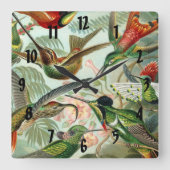 エルンスト・ヘッケルの芸術のプリント: Trochilidae スクエア壁時計 (正面)