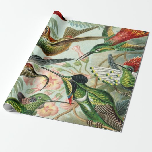 エルンスト・ヘッケルの芸術のプリント: Trochilidae ラッピングペーパー (アンロールド)