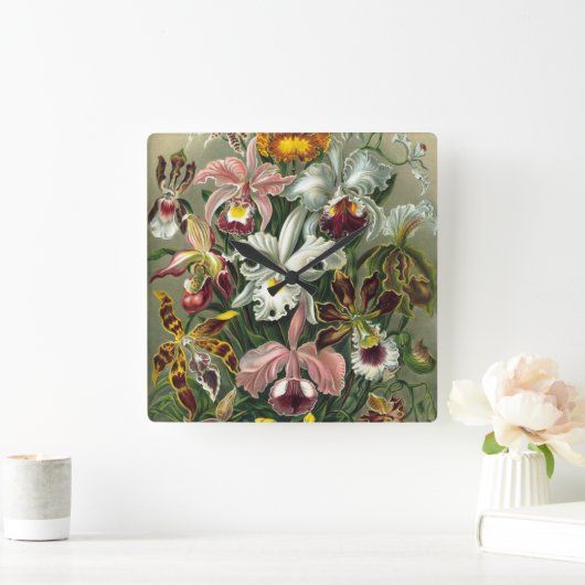 エルンスト・ヘッケルの蘭、ヴィンテージの雨林の花 スクエア壁時計 (ホーム)