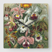 エルンスト・ヘッケルの蘭、ヴィンテージの雨林の花 スクエア壁時計 (正面)