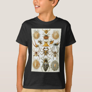 エルンスト・ヘッケルの蜘蛛形綱のくも Tシャツ