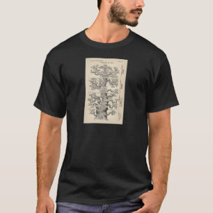 エルンスト・ヘッケルの"生命の樹" Tシャツ