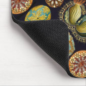 エルンスト・ヘッケルのAscidiaeの海の生命 マウスパッド (コーナー)