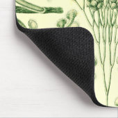 エルンスト・ヘッケルのCiliata マウスパッド (コーナー)