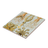 エルンスト・ヘッケルのGamochonia タイル (側面)