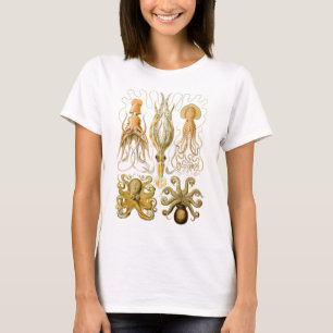エルンスト・ヘッケルのGamochonia Tシャツ