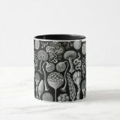 エルンスト・ヘッケルのMycetozoa マグカップ (中央)