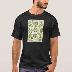 エルンスト・ヘッケルのSiphoneaeの海藻および藻 Tシャツ