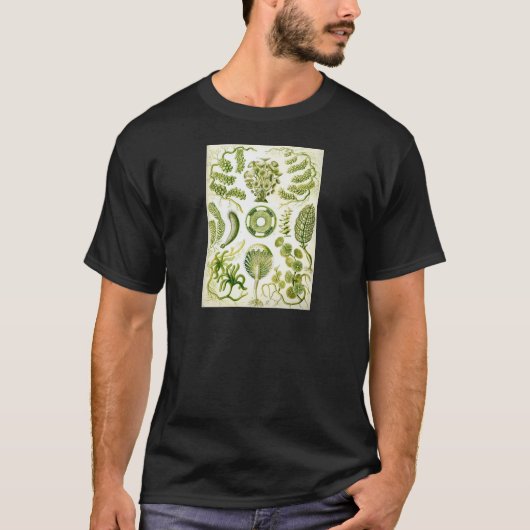 エルンスト・ヘッケルのSiphoneaeの海藻および藻 Tシャツ (正面)