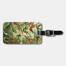 エルンスト・ヘッケルのTrochilidaeのハチドリ ラゲッジタグ