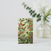 エルンスト・ヘッケルのTrochilidaeのハチドリ 名刺 (スタンド正面)