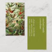 エルンスト・ヘッケルのTrochilidaeのハチドリ 名刺 (正面/裏面)