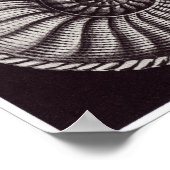 エルンスト・ヘッケルアートプリント:アンモニティダ ポスター (角)