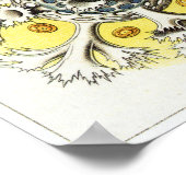 エルンスト・ヘッケルアートプリント:ポリシッタリア ポスター (角)