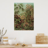 エルンスト・ヘッケルアートプリント：ムッシーネ ポスター (キッチン)