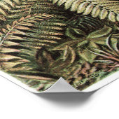 エルンスト・ヘッケルアートプリント: Filicinae ポスター (角)