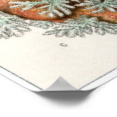 エルンスト・ヘッケルアートプリント: Nudibranchia ポスター (角)