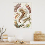 エルンスト・ヘッケルアートプリント: Nudibranchia ポスター (キッチン)