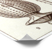 エルンスト・ヘッケルアートプリント: Peridinea ポスター (角)