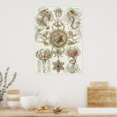 エルンスト・ヘッケルアートプリント: Trachomedusae ポスター (キッチン)