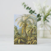 エルンスト・ヘッケルファインアート ポストカード (スタンド正面)