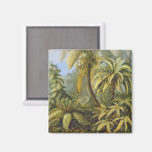 エルンスト・ヘッケルファインアート マグネット (正面/裏面)