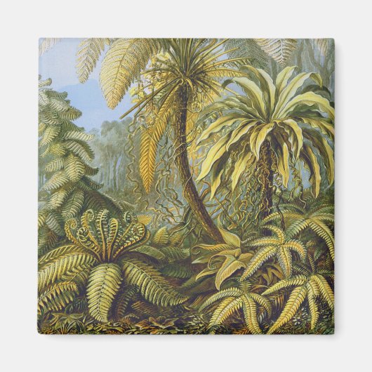 エルンスト・ヘッケルファインアート マグネット (正面)