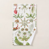 エルンスト·ヘッケル作のヘパティカ·レベルムース バスタオルセット (ハンドタオル)