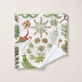 エルンスト·ヘッケル作のヘパティカ·レベルムース バスタオルセット (ウォッシュタオル)