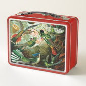 エルンスト・ヘッケル著ハチドリ メタルランチボックス (裏面)