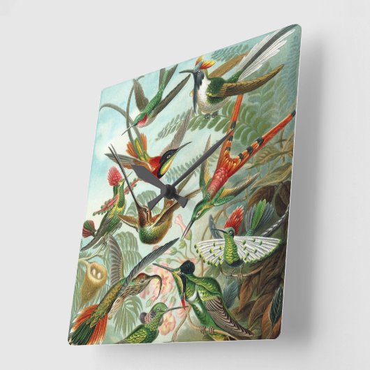エルンスト・ヘッケル著ハチドリ、ヴィンテージの鳥の木 スクエア壁時計 (傾斜)