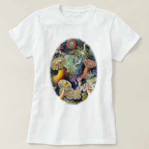 エルンスト・ヘッケル著自然の芸術 Tシャツ