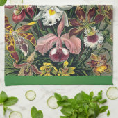 エルンスト・ヘッケル著蘭 キッチンタオル (折り畳み)