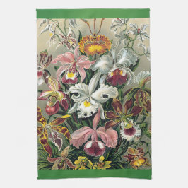 エルンスト・ヘッケル著蘭 キッチンタオル