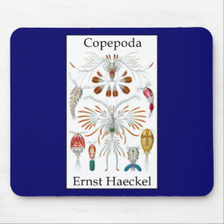 エルンスト・ヘッケル著Copepoda マウスパッド