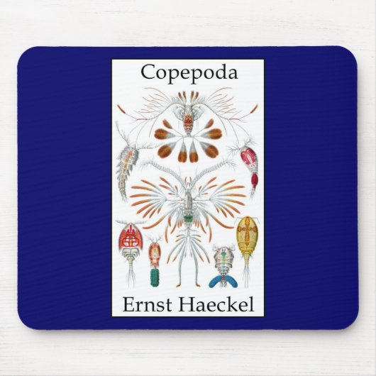 エルンスト・ヘッケル著Copepoda マウスパッド (正面)