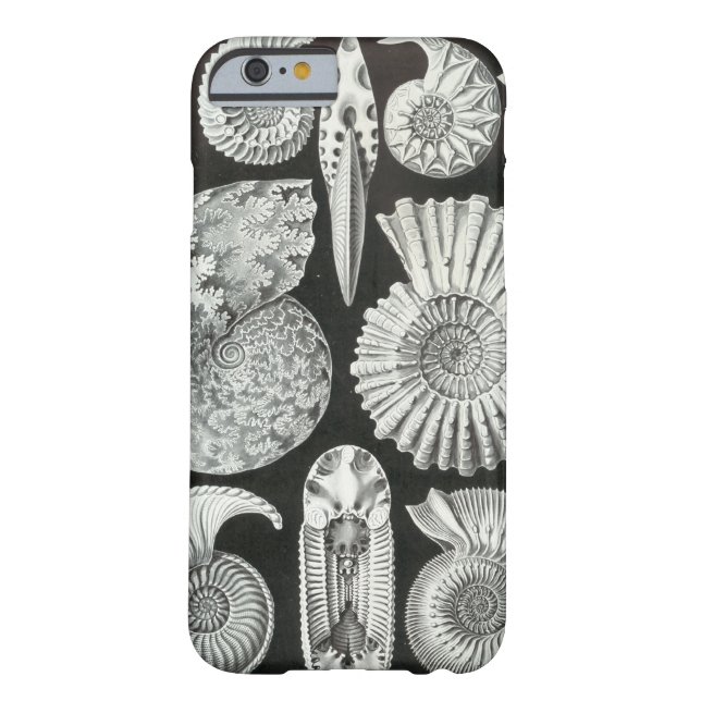 エルンスト・ヘッケル – アンモニティダ Case-Mate iPhoneケース (裏面)