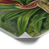 エルンスト・ヘッケル・オーチダ科 ポスター (角)