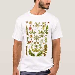 エルンスト・ヘッケル-ゼニゴケ類 Tシャツ