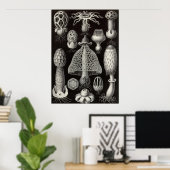 エルンスト・ヘッケル – バシミスケートマッシュルーム ポスター (ホームオフィス)