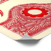 エルンスト・ヘッケル – フロリデエ ポスター (角)