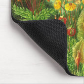 エルンスト・ヘッケル – ムッシーネ マウスパッド (コーナー)