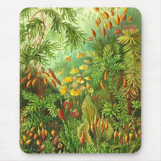 エルンスト・ヘッケル – ムッシーネ マウスパッド (正面)