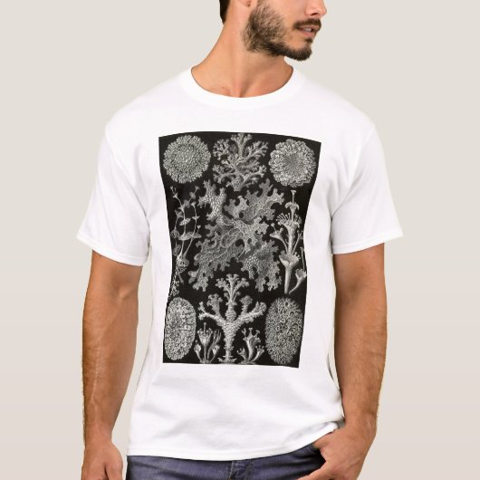 エルンスト・ヘッケル – リケネス Tシャツ (正面)