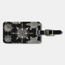 エルンスト・ヘッケル| Acanthophracta ラゲッジタグ