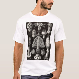 エルンスト・ヘッケル- Basimycetesのきのこ Tシャツ